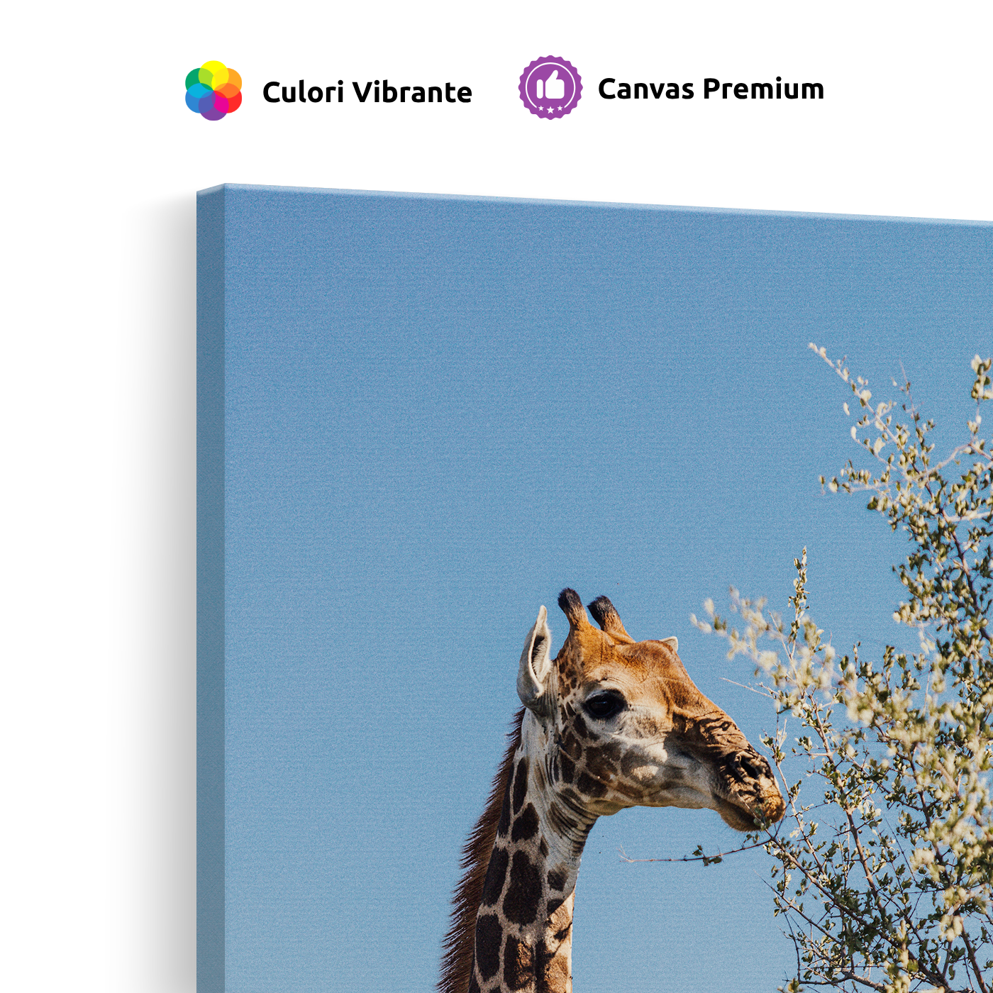 Tablou Canvas Girafă în Savana sub Cer Senin, Natură Africană, Maro-Albastru