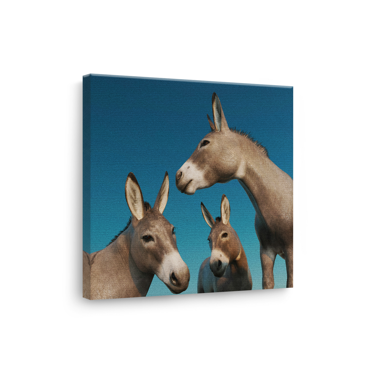 Tablou Canvas Grup de Măgăruși, Estetică Fotografică Naturală, Gri-Albastru