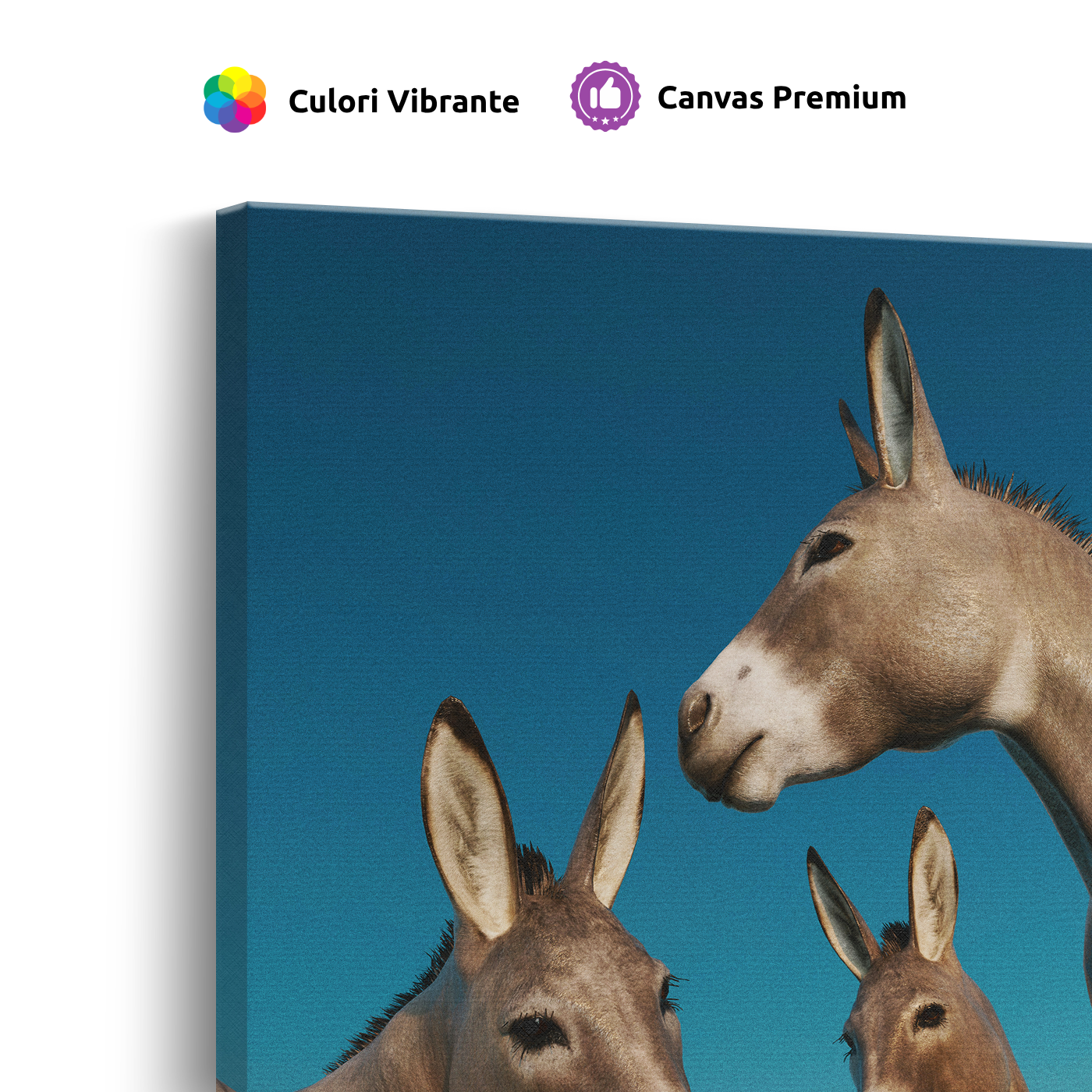 Tablou Canvas Grup de Măgăruși, Estetică Fotografică Naturală, Gri-Albastru