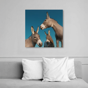 Tablou Canvas Grup de Măgăruși, Estetică Fotografică Naturală, Gri-Albastru IPCVANI-351