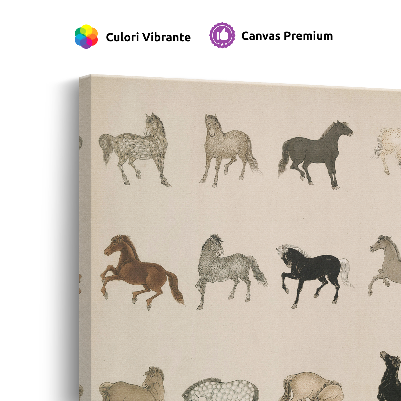 Tablou Canvas Ilustrații Cai Vintage, Artă Ilustrativă, Bej-Maro