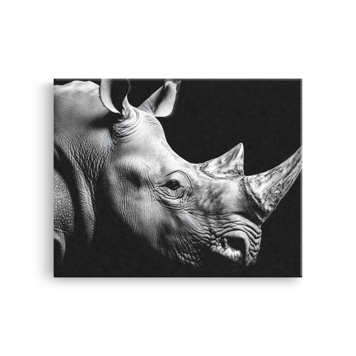 Tablou Canvas Imagine Rinocer Alb Negru - IPCVBW-542-2