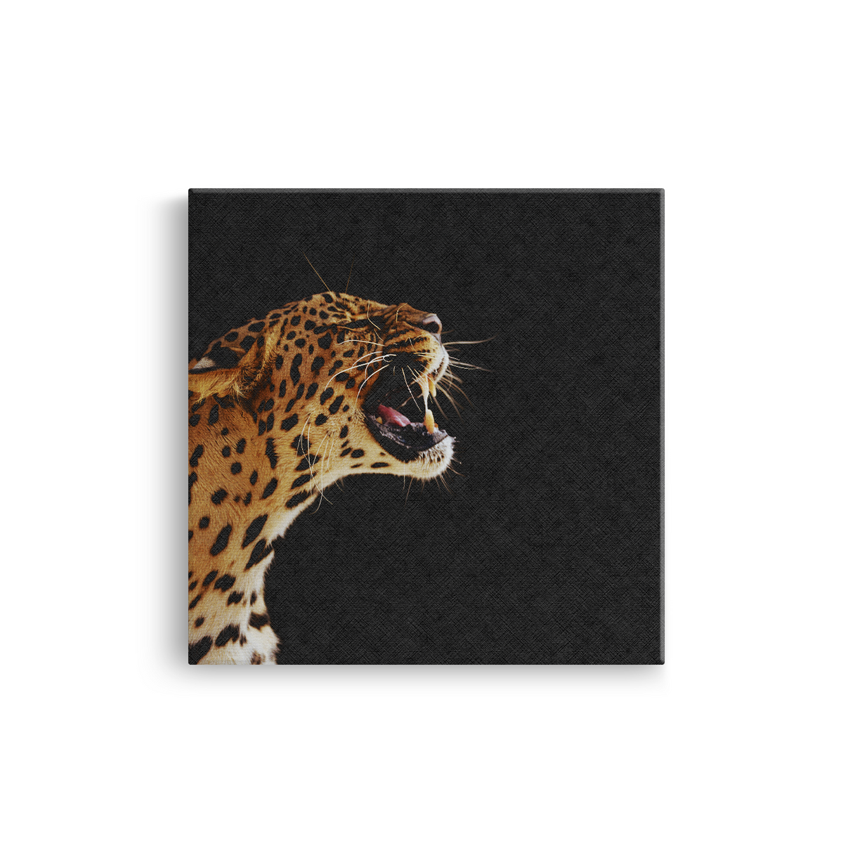 Tablou Canvas Leopard cu Atitudine Impunătoare, Fotografie Dramatică, Negru-Maro