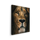 Tablou Canvas Leu cu Privire Intensă, Artă Fotografică, Maro-Negru