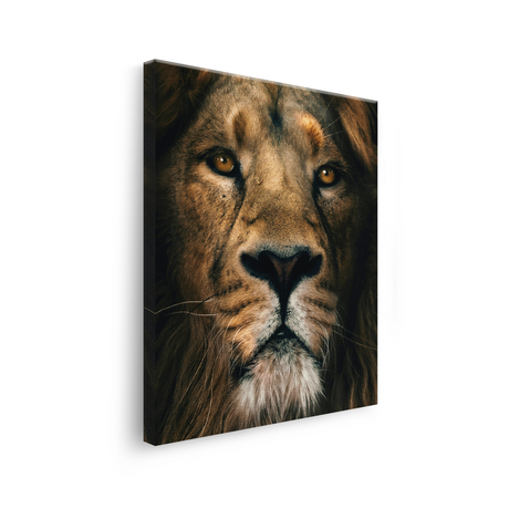 Tablou Canvas Leu cu Privire Intensă, Artă Fotografică, Maro-Negru