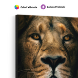 Tablou Canvas Leu cu Privire Intensă, Artă Fotografică, Maro-Negru