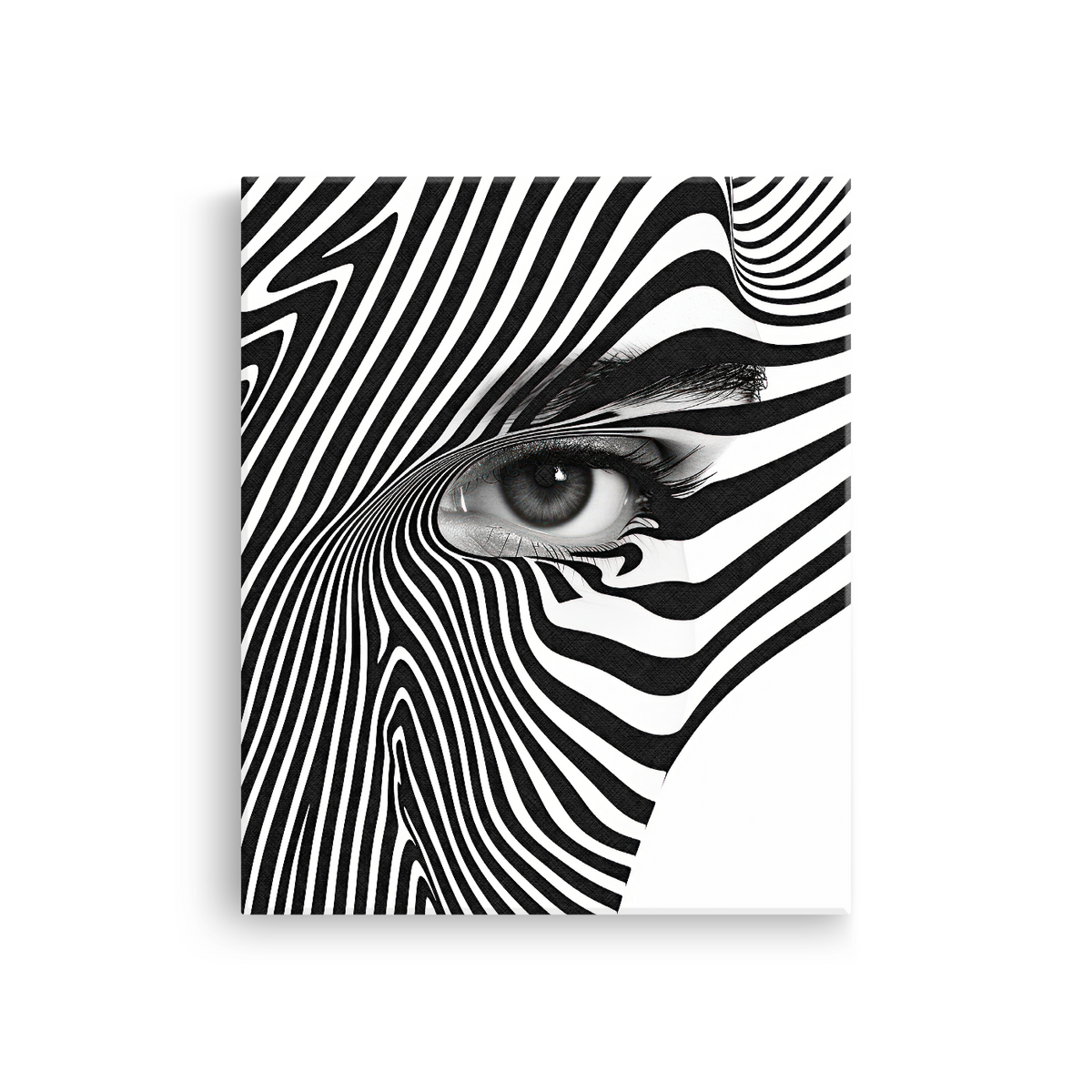 Tablou Canvas Linii Curbate Abstracte în Alb Negru - IPCVBW-531-2