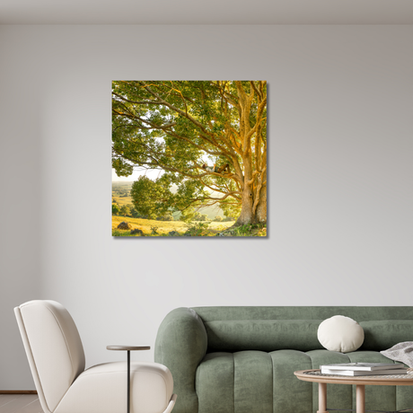 Tablou Canvas Natură De Vorbă