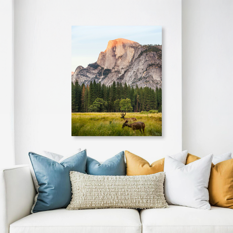 Tablou Canvas Natură În Habitat