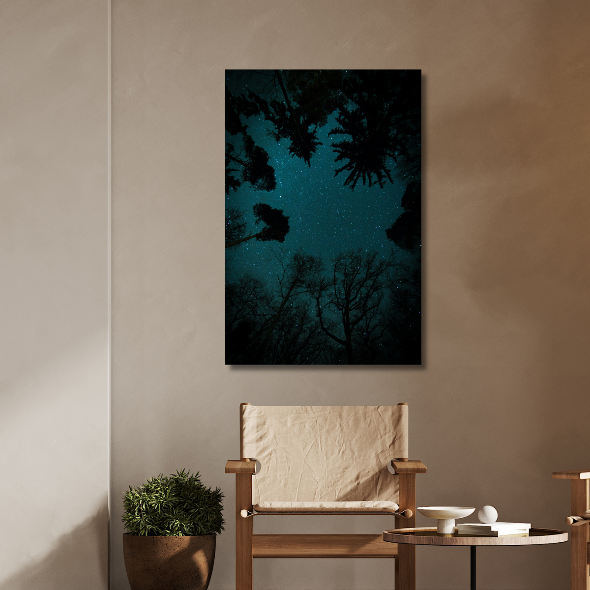 Tablou Canvas Natura Noaptea peste Arbori
