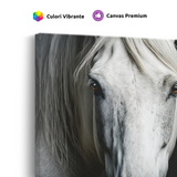 Tablou Canvas Noblețea unui Cal Alb - IPCVBW-546-4