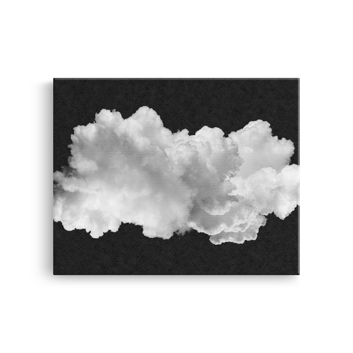Tablou Canvas Nor Plutind în Liniște Alb-Negru - IPCVBW-543-2