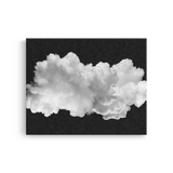 Tablou Canvas Nor Plutind în Liniște Alb-Negru - IPCVBW-543-2