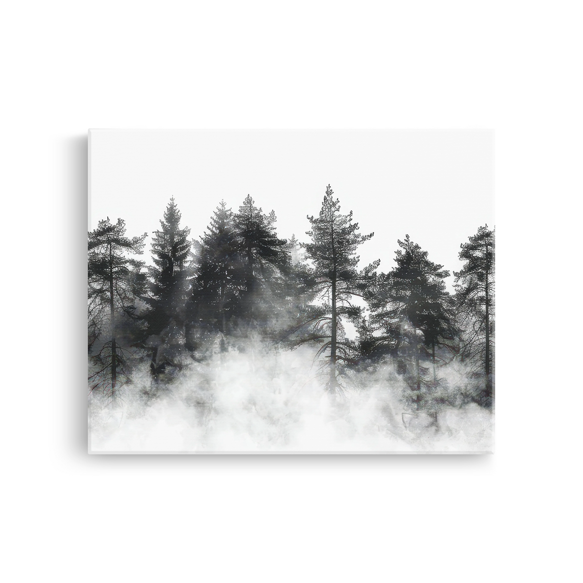 Tablou Canvas Pădure de Brazi în Ceață Alb-Negru - IPCVBW-545-2