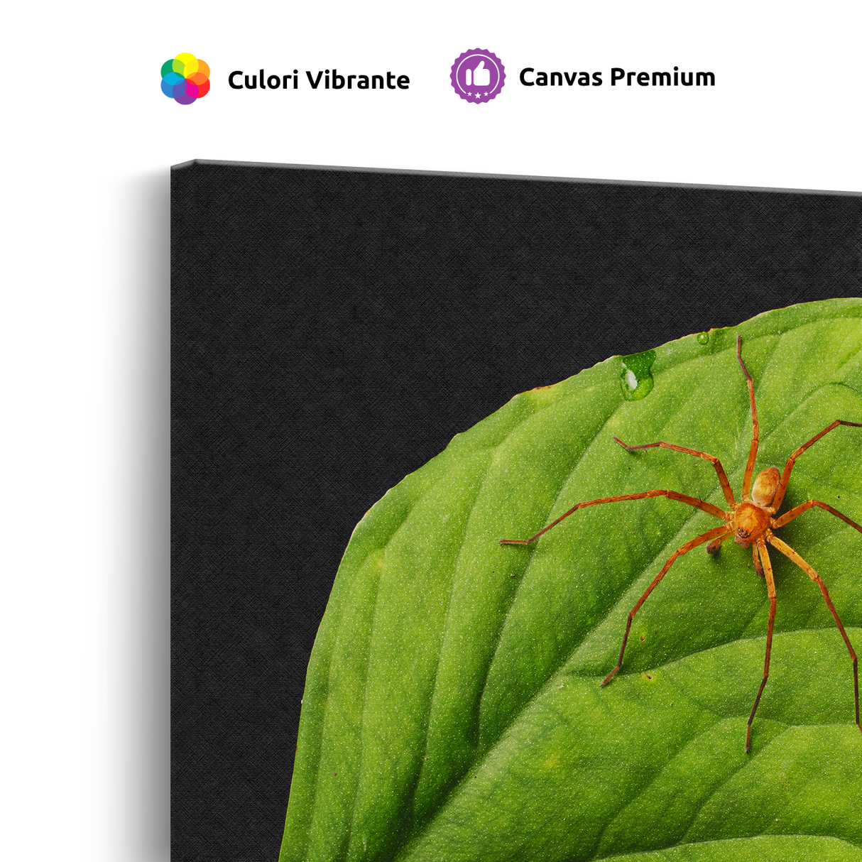 Tablou Canvas Păianjen pe Frunză Tropicală, Stil Fotografic Macro, Verde-Portocaliu