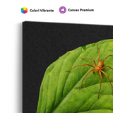 Tablou Canvas Păianjen pe Frunză Tropicală, Stil Fotografic Macro, Verde-Portocaliu