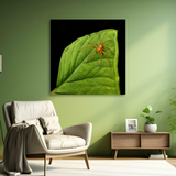 Tablou Canvas Păianjen pe Frunză Tropicală, Stil Fotografic Macro, Verde-Portocaliu IPCVANI-347