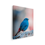 Tablou Canvas Pasăre Albastră cu Penaj Intens, Fotografie Artistică, Albastru-Roz