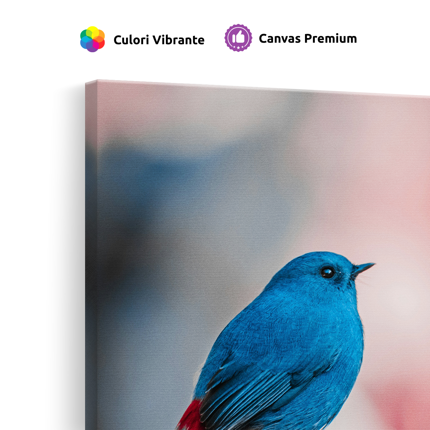 Tablou Canvas Pasăre Albastră cu Penaj Intens, Fotografie Artistică, Albastru-Roz