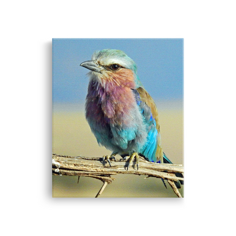 Tablou Canvas Pasăre Multicoloră în Natură, Compoziție Naturală, Albastru-Mov