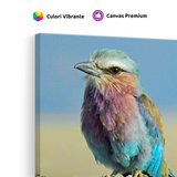 Tablou Canvas Pasăre Multicoloră în Natură, Compoziție Naturală, Albastru-Mov