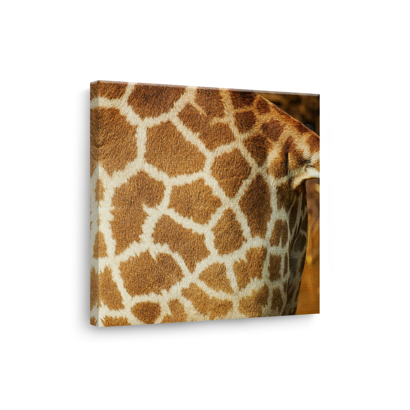 Tablou Canvas Pattern de Girafă, Textură Naturală Africană, Maro-Bej