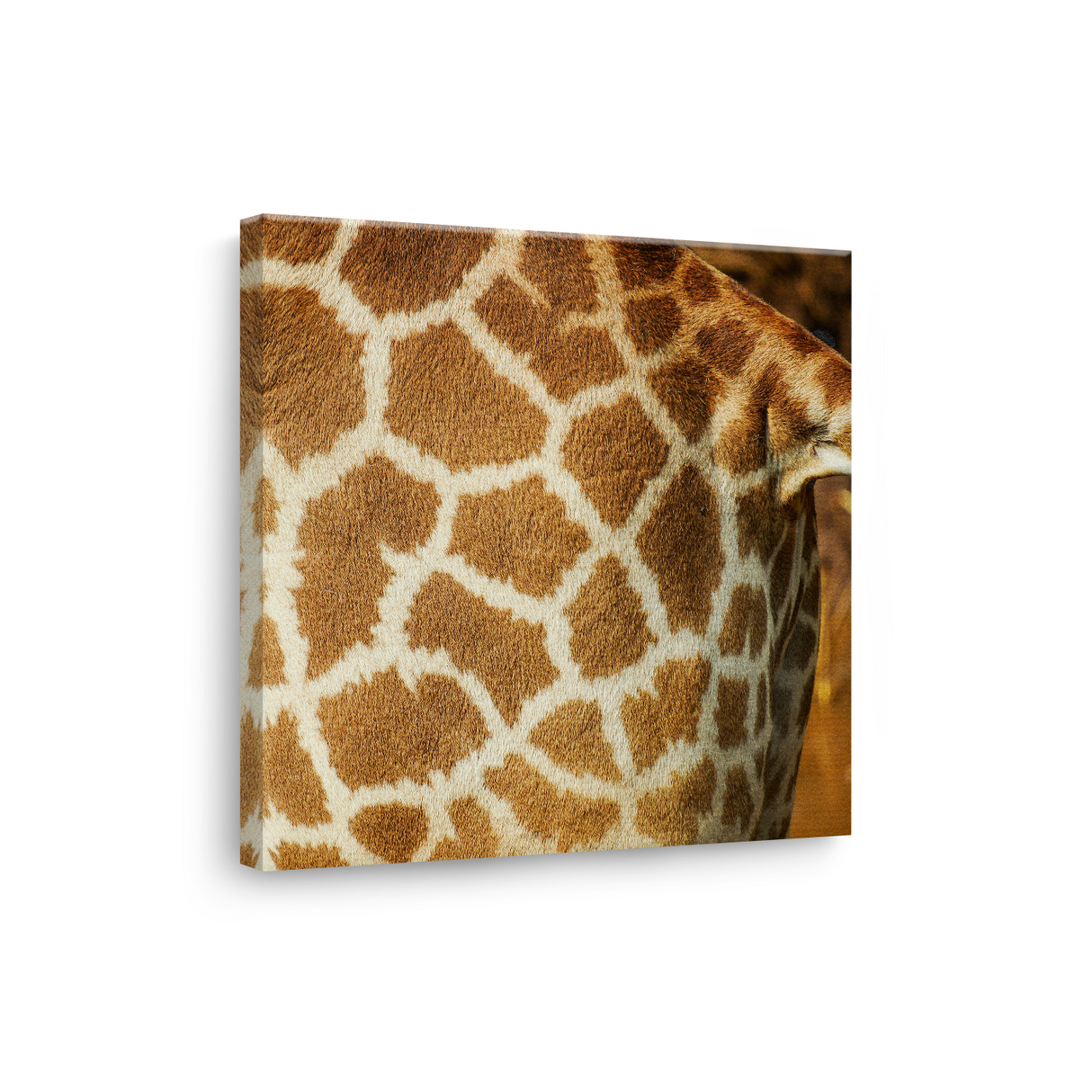 Tablou Canvas Pattern de Girafă, Textură Naturală Africană, Maro-Bej