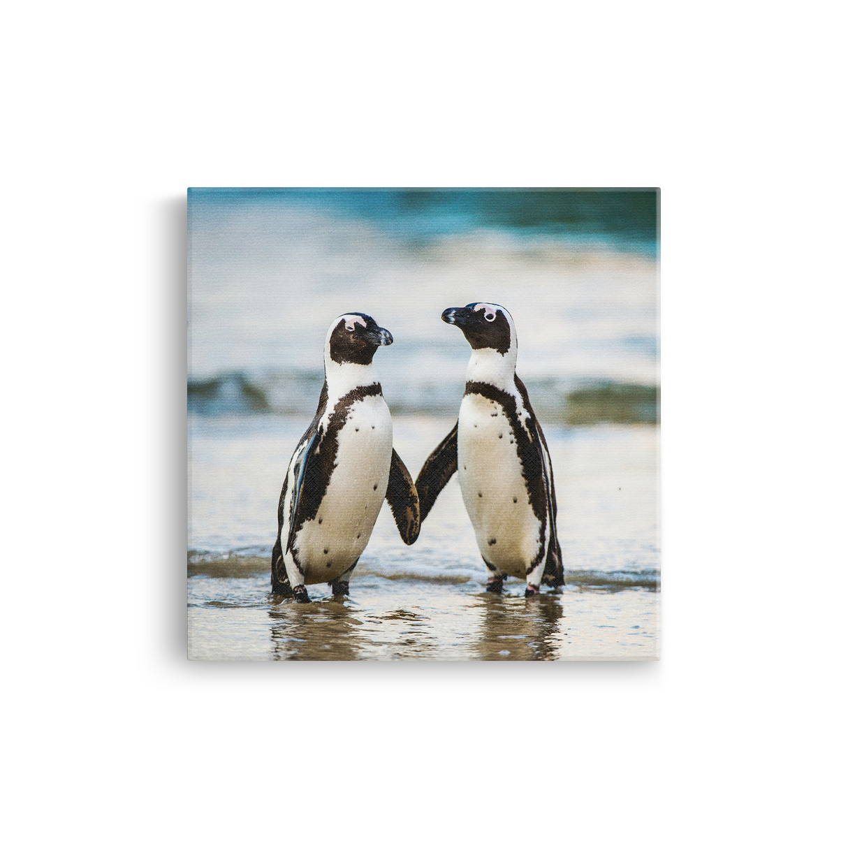 Tablou Canvas Pereche de Pinguini, Fotografie Naturală de Coastă, Alb-Albastru