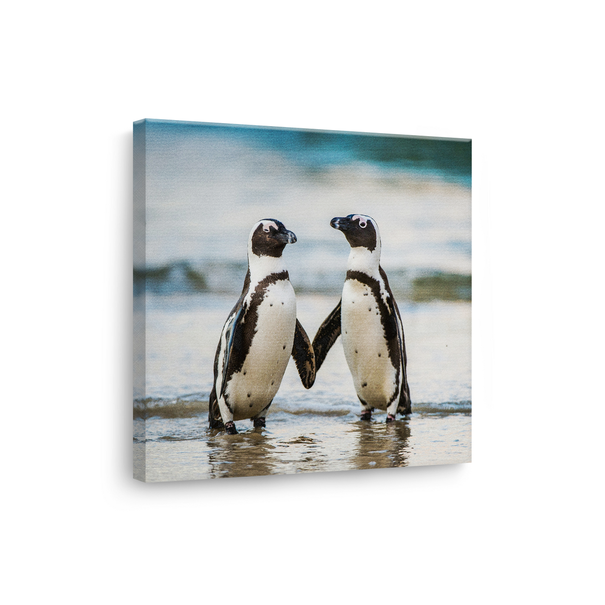Tablou Canvas Pereche de Pinguini, Fotografie Naturală de Coastă, Alb-Albastru