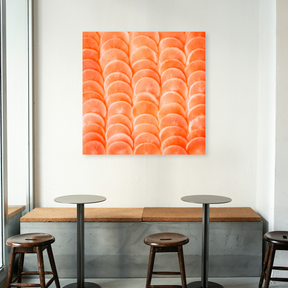 Tablou Canvas Pickled Radishes, Concept Artistic, Roz IPCVALI-416