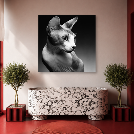 Tablou Canvas Pisică Sfinx în Stil Fine Art Alb-Negru - IPCVBW-559