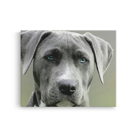 Tablou Canvas Portret Câine cu Ochi Albaștri, Fotografie Canină, Gri-Verde