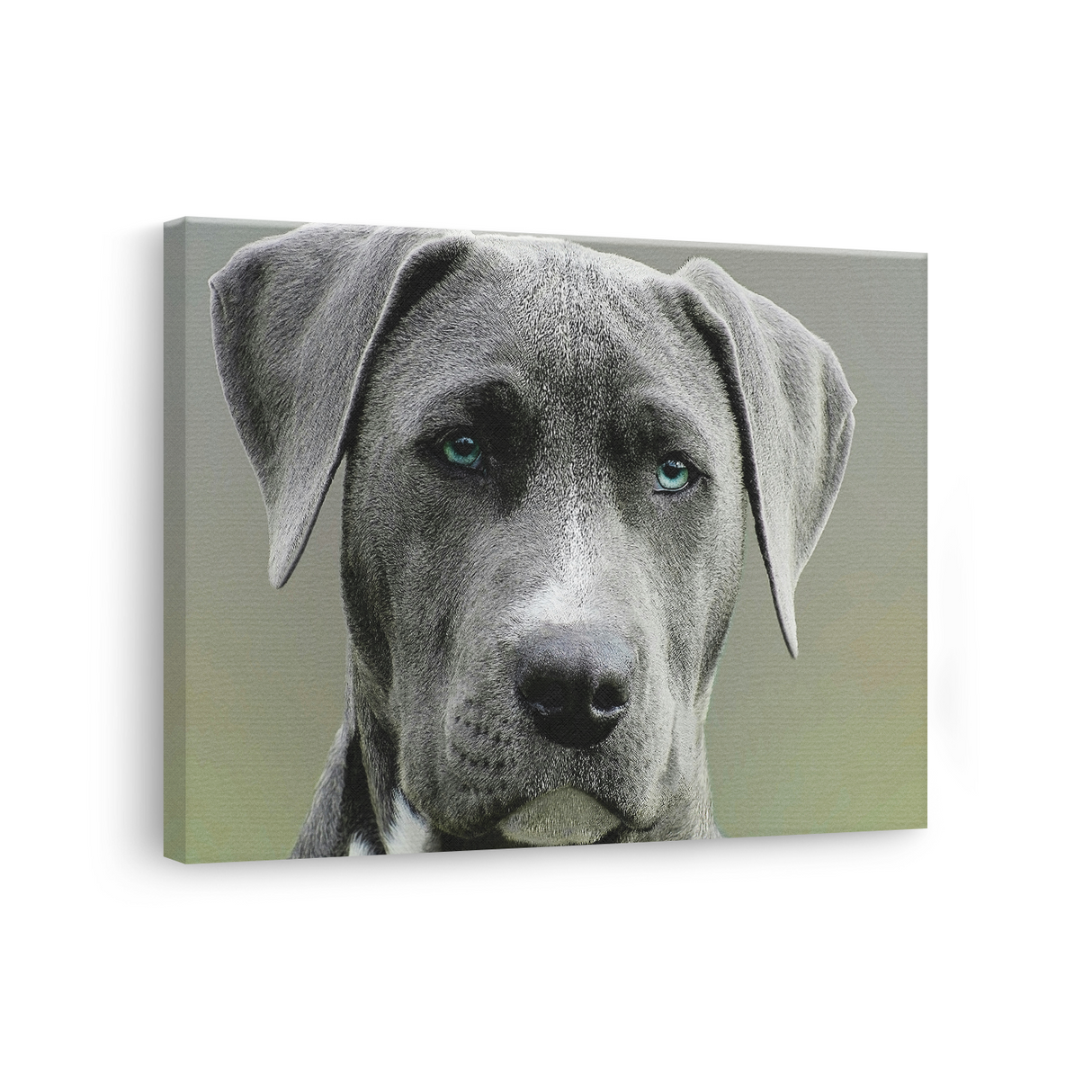 Tablou Canvas Portret Câine cu Ochi Albaștri, Fotografie Canină, Gri-Verde