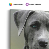 Tablou Canvas Portret Câine cu Ochi Albaștri, Fotografie Canină, Gri-Verde