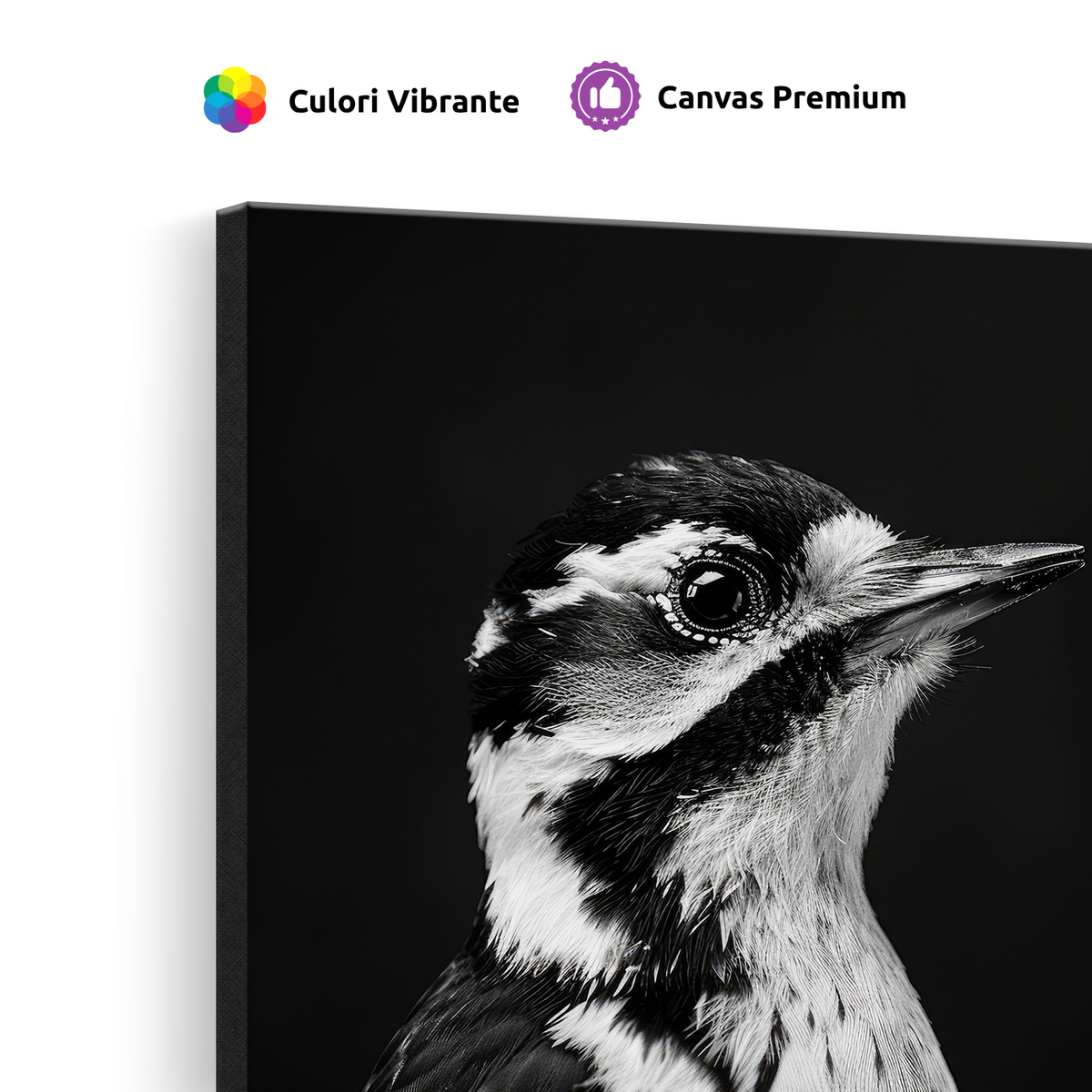 Tablou Canvas Portret Ciocănitoare Mare Alb Negru - IPCVBW-533-4