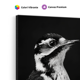 Tablou Canvas Portret Ciocănitoare Mare Alb Negru - IPCVBW-533-4