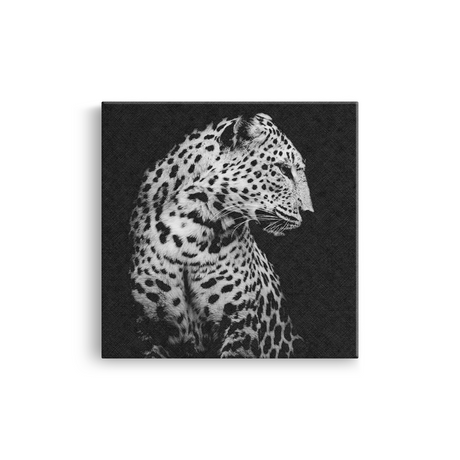 Tablou Canvas Portret Leopard în Nuanțe de Alb și Negru - IPCVBW-551-2