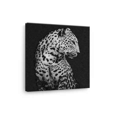 Tablou Canvas Portret Leopard în Nuanțe de Alb și Negru - IPCVBW-551-3