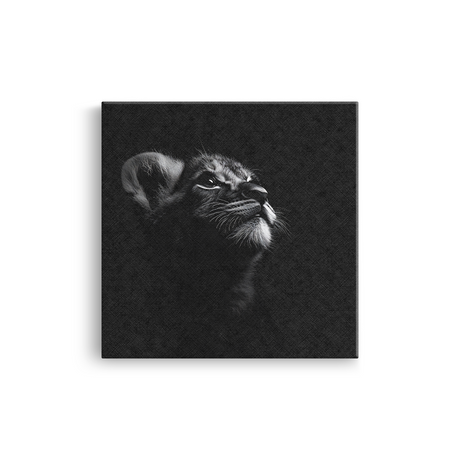 Tablou Canvas Portret Pui de Pisică în Alb și Negru - IPCVBW-550-2