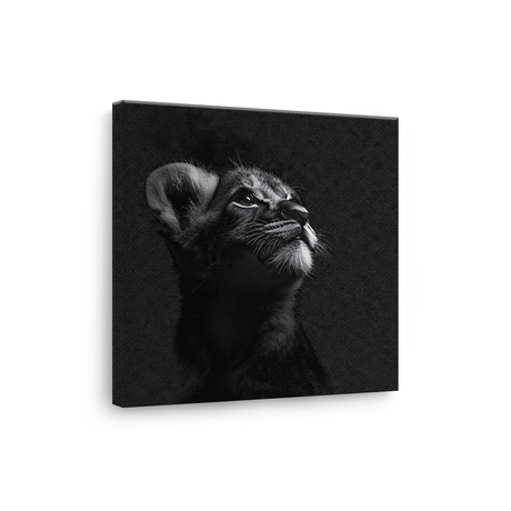 Tablou Canvas Portret Pui de Pisică în Alb și Negru - IPCVBW-550-3