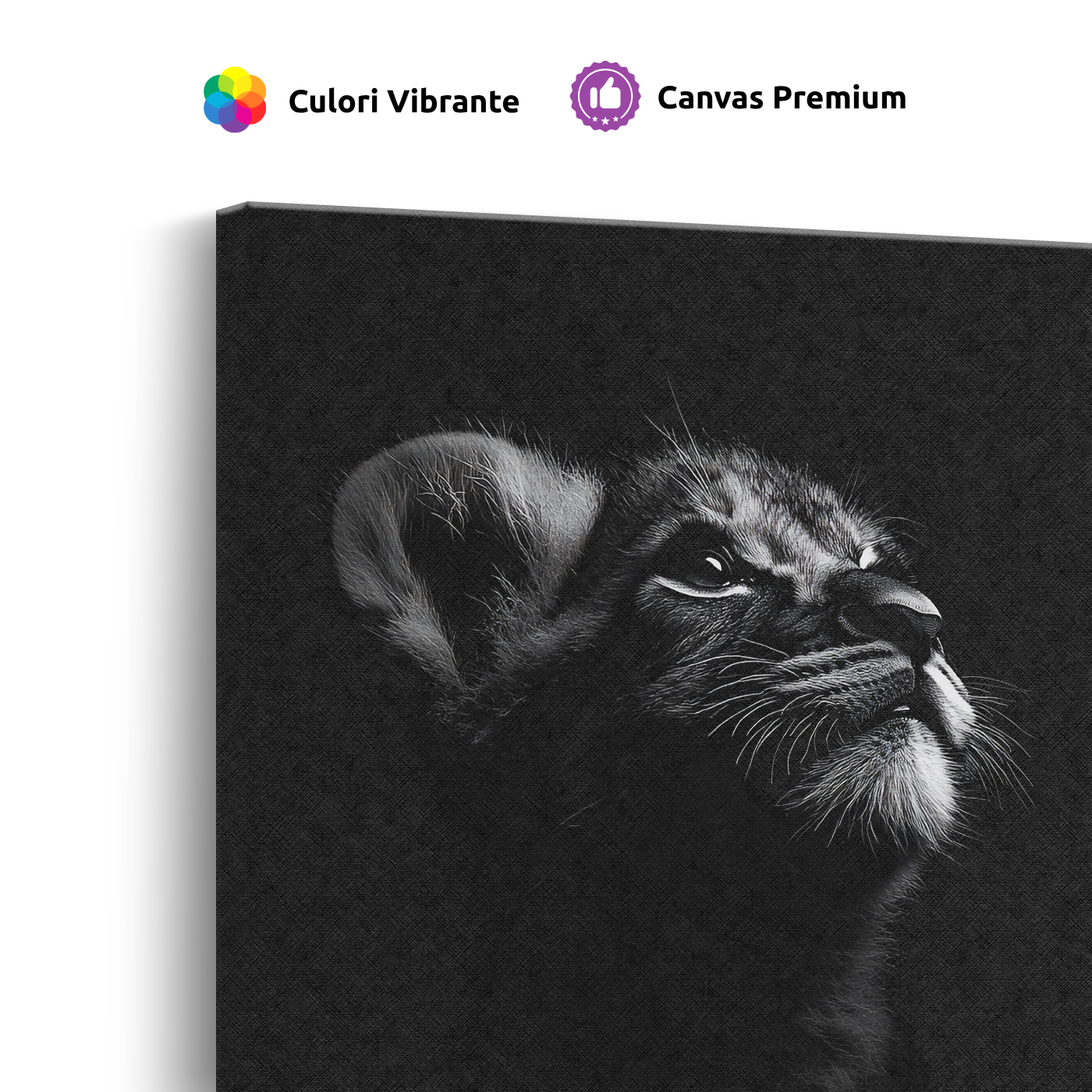 Tablou Canvas Portret Pui de Pisică în Alb și Negru - IPCVBW-550-4