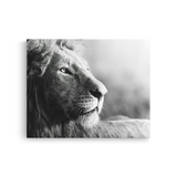 Tablou Canvas Portret de Leu, Wildlife Artistic, Alb-Negru