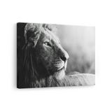 Tablou Canvas Portret de Leu, Wildlife Artistic, Alb-Negru