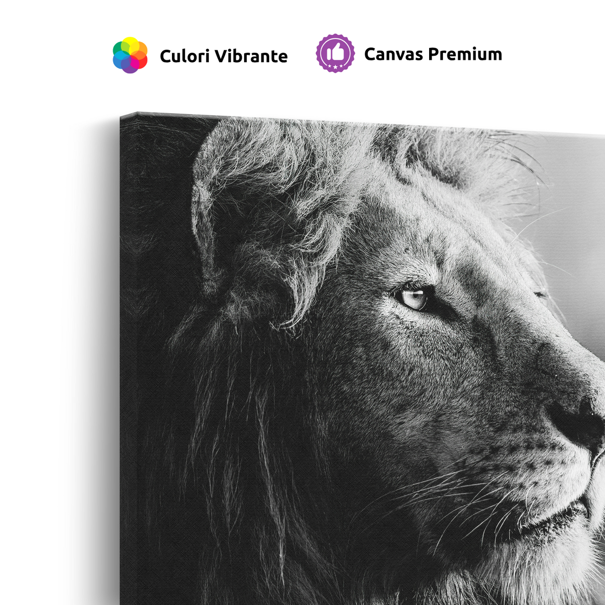 Tablou Canvas Portret de Leu, Wildlife Artistic, Alb-Negru