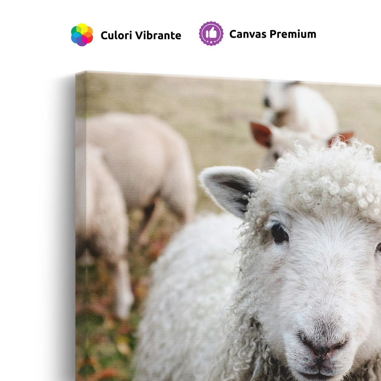 Tablou Canvas Portret de Oaie pe Câmp, Fotografie Rurală, Alb-Verde