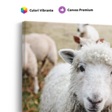 Tablou Canvas Portret de Oaie pe Câmp, Fotografie Rurală, Alb-Verde