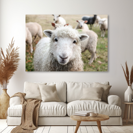 Tablou Canvas Portret de Oaie pe Câmp, Fotografie Rurală, Alb-Verde IPCVANI-307