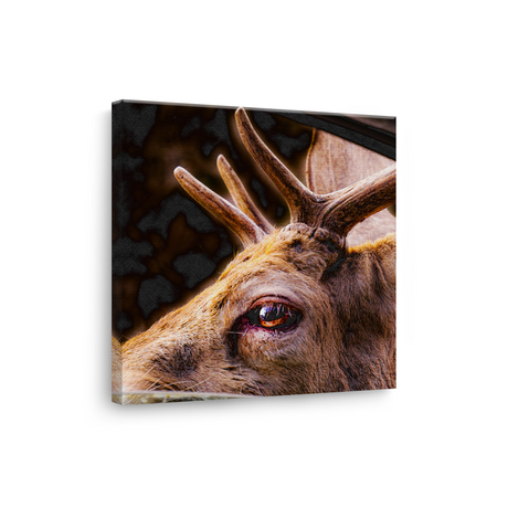Tablou Canvas Privire de Cerb, Artă Fotografică Naturală, Maro