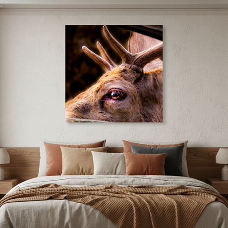 Tablou Canvas Privire de Cerb, Artă Fotografică Naturală, Maro IPCVANI-340
