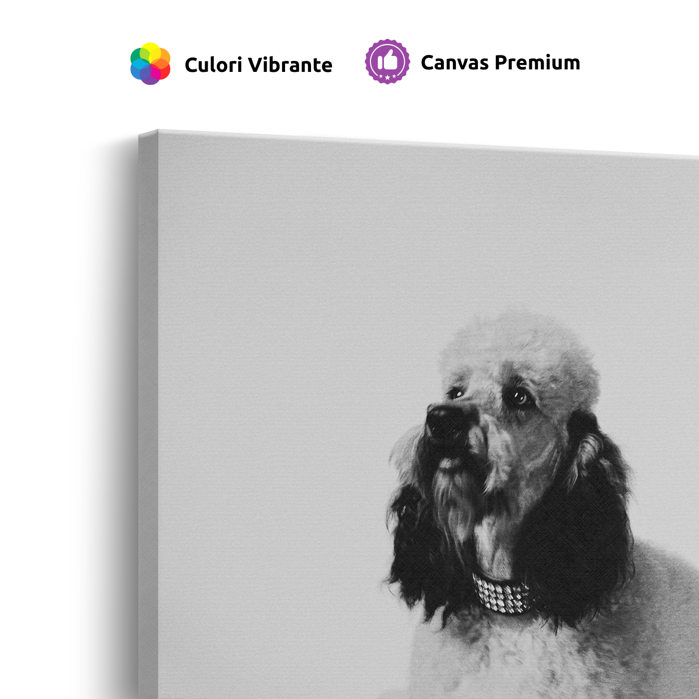 Tablou Canvas Pudel Stilat, Fotografie Artistică Monocromă, Alb-Negru